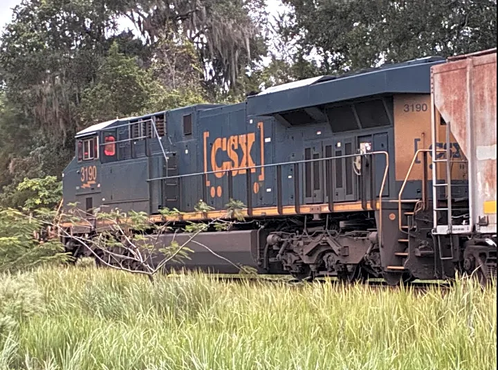 Woman hit and killed by train in NE Ocala; second case in less than a week