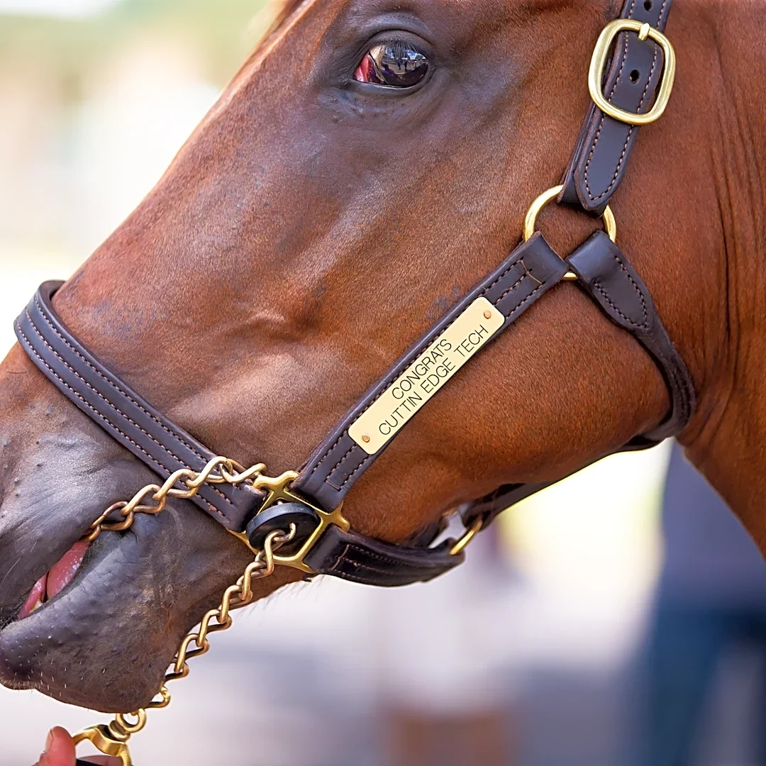 Horses could be star attractions of I-75/49th Street development