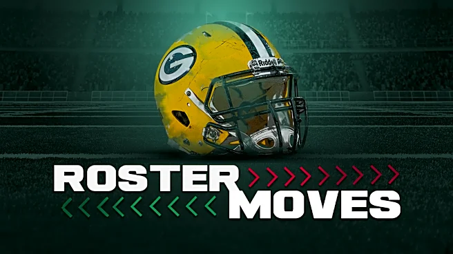Packers roster moves: Double tight end swap