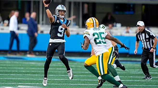 Packers vs. Panthers: 5 things to know about Green Bay's Week 8 opponent