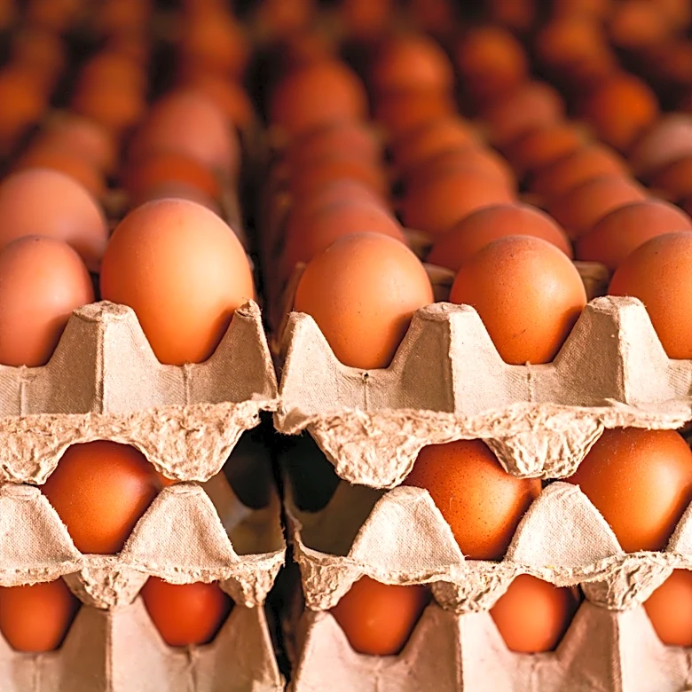 1.6 million eggs recalled. Is Florida one of the states affected?