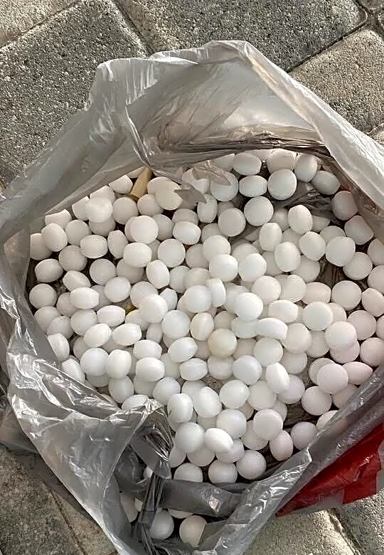 St. Pete Beach mothball mystery solved, two people charged