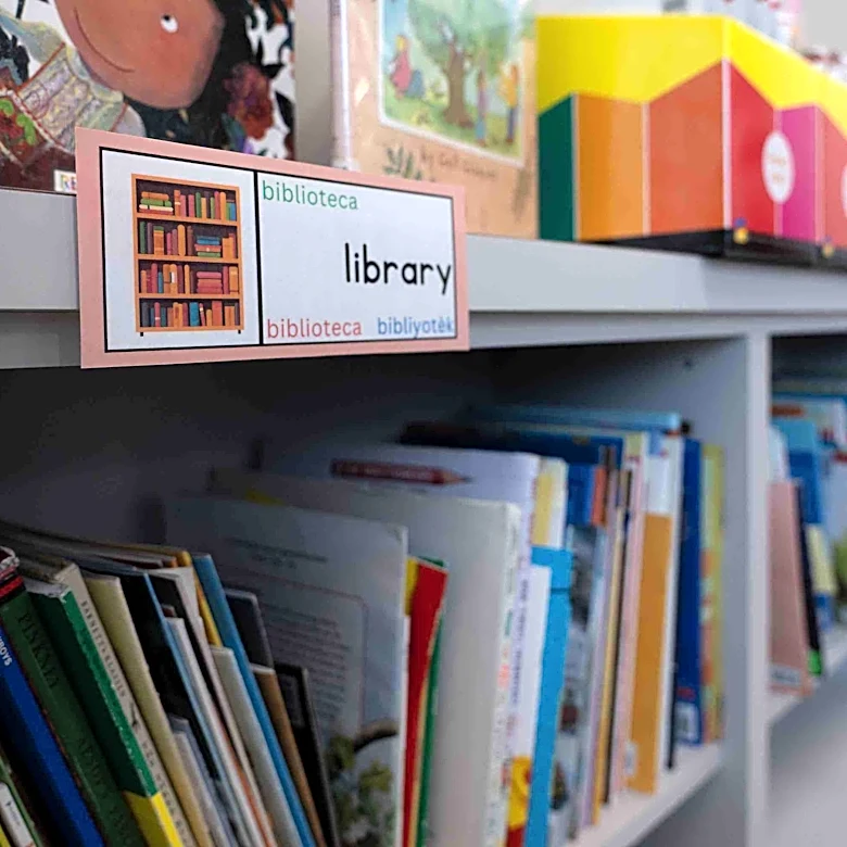 Enrollment drops, $50M budget cut ahead for Palm Beach County schools