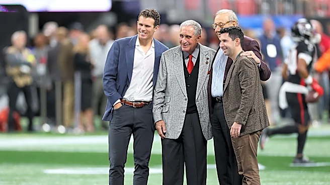 Daniel Sillman now running Miami Dolphins. What does it mean for fans