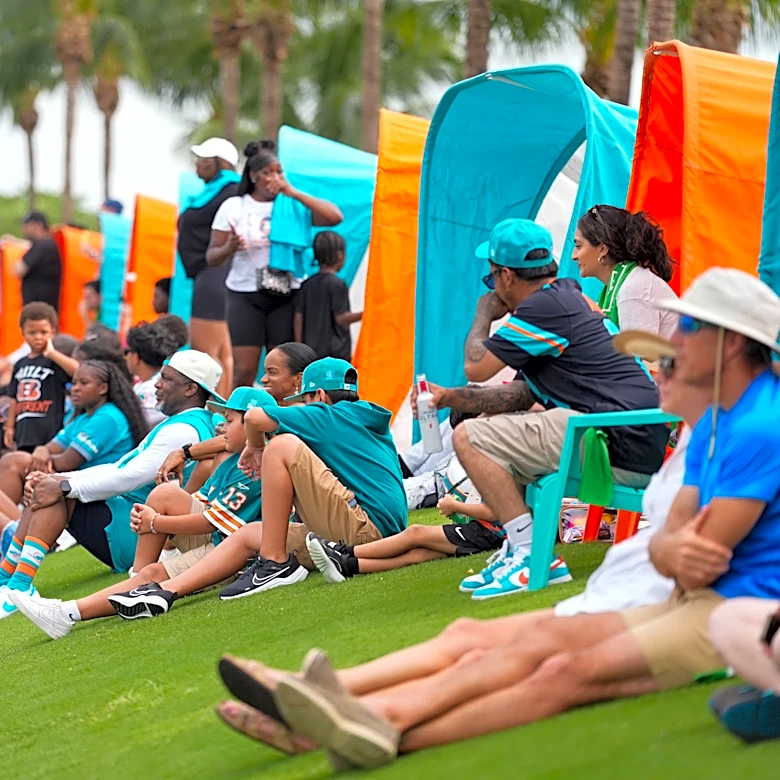 Dolphins fight song streaming on all major platforms - Is this good?