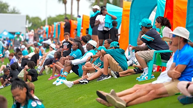 Dolphins fight song streaming on all major platforms - Is this good?