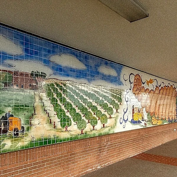 Is West Palm’s oldest Publix closing for renovations? Whispers say yes