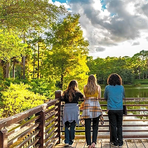 Enjoy this hidden gem in Delray, Morikami Museum and Japanese Gardens