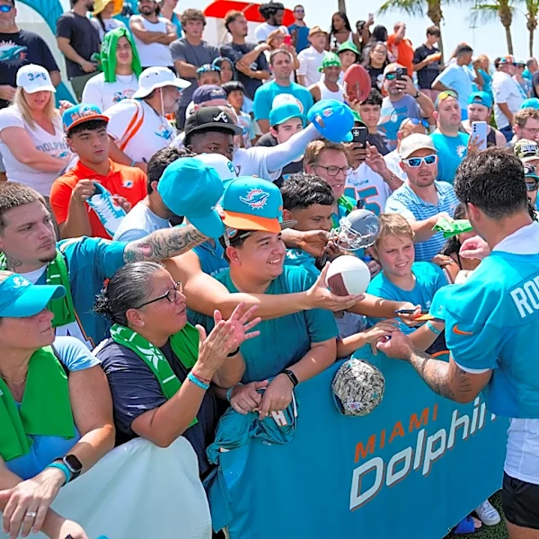 Miami Dolphins rookie report card for NY Giants game