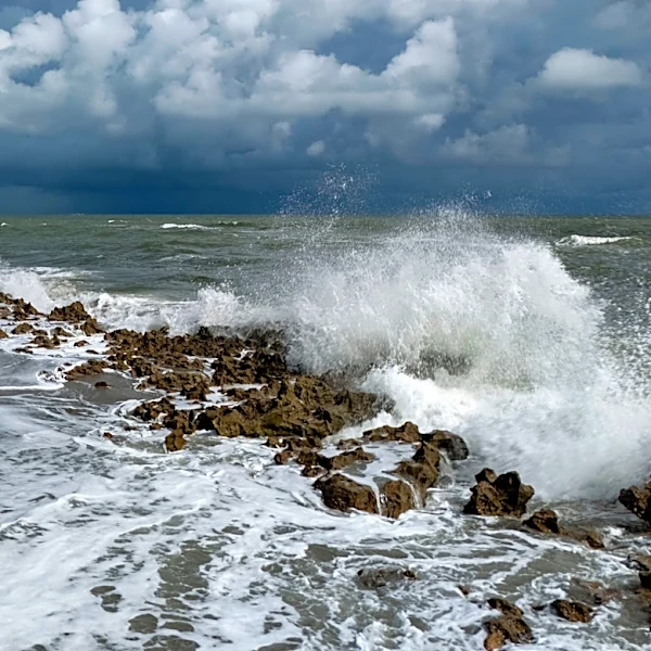 Dog gets shot by paddleboarder near beach in Jupiter | Exclusive