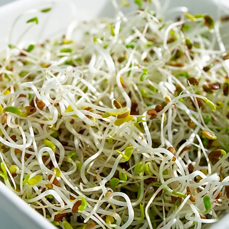 Recalled alfalfa sprouts tied to two illnesses in Florida