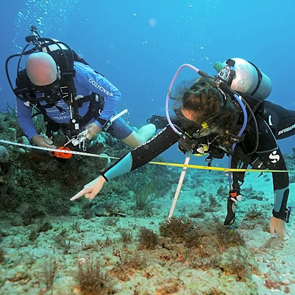 Palm Beach Zoo, Loggerhead Center team up to survey coral reefs