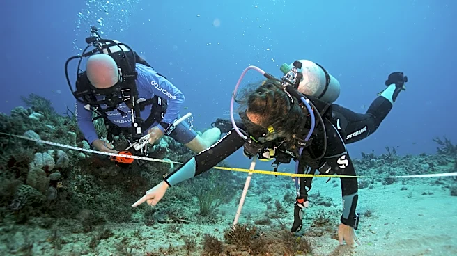 Palm Beach Zoo, Loggerhead Center team up to survey coral reefs