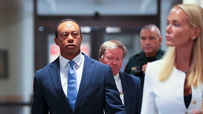 Tiger Woods receives warning after plea: 'He's not to drive a car'