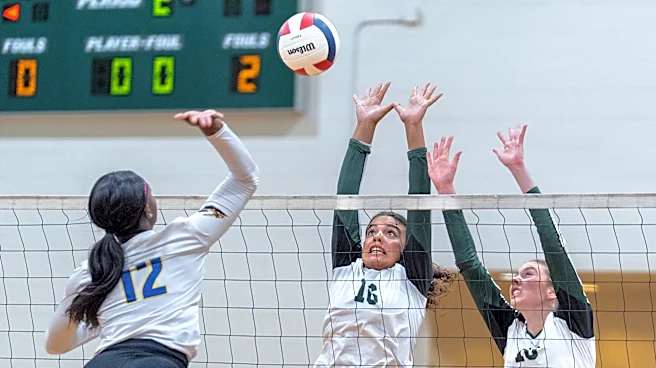 Palm Beach Post Athlete of the Week: Poll winners for 2026-27