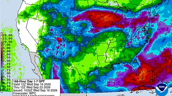 Get ready for stormy Florida weekend with 'additional kick' of lightning