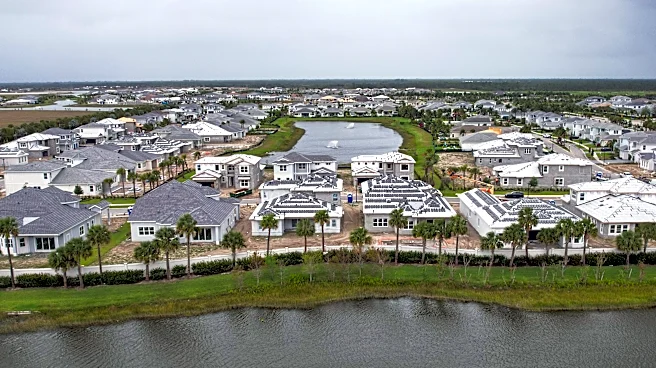 Amendment 3 won't improve Florida's tax structure | Opinion