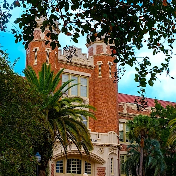 Florida schools ranked among best national universities, here's why