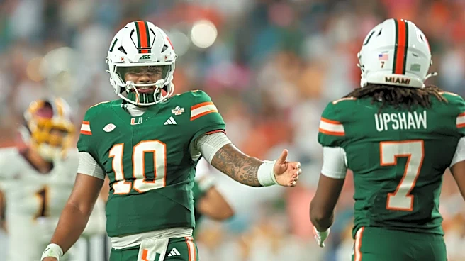 Perfection | Florida, Miami, FSU, UCF, FAU, USF, FIU all win games