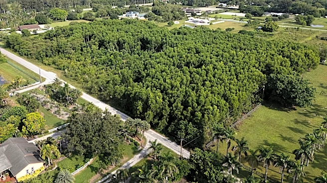 Affordable apartment complex coming to Wellington | Exclusive