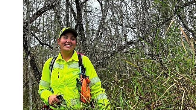 Look out above! Burmese pythons are starting to climb trees in Florida