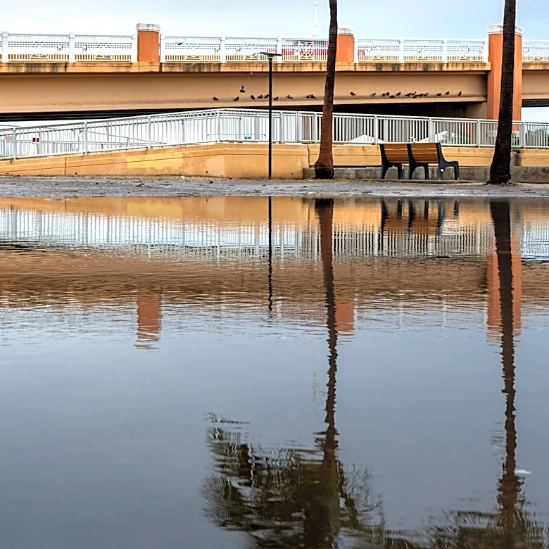 King tides bring flooding to beaches, roadways in Palm Beach County