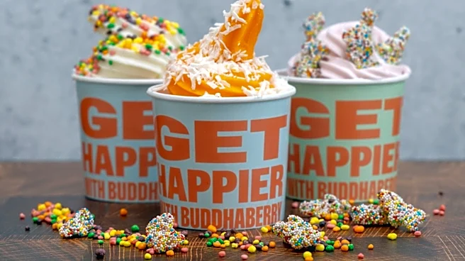 First came Wall Street South. Now comes the frozen yogurt