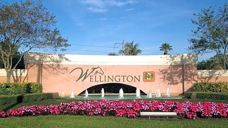 Amendment 3 could cut Wellington revenue by $7.2M, manager warns