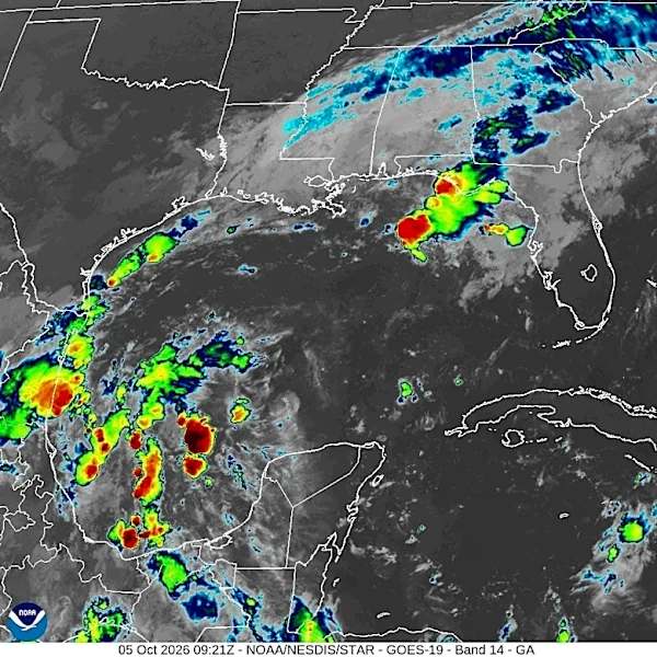 Weather. NHC warns tropical depression could form this week in Gulf