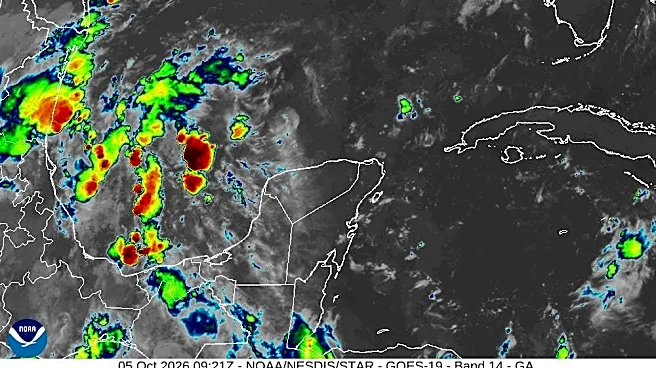 Weather. NHC warns tropical depression could form this week in Gulf