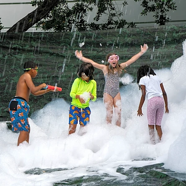 Related Ross Foundation funds summer camp program for 243 children