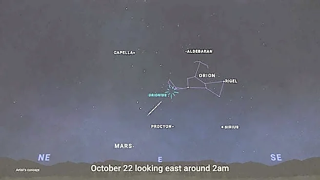 October meteor shower now active. How to see the Orionids in Florida