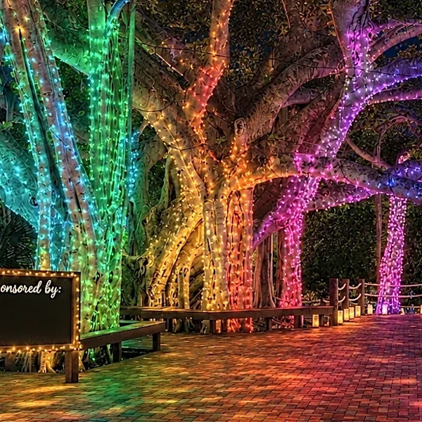 Luminary Nights to debut at Jupiter Inlet Lighthouse