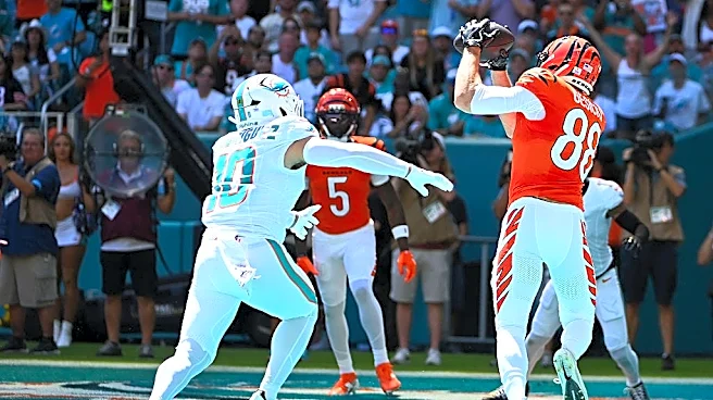 This is a good time for Miami Dolphins to take a break | D'Angelo