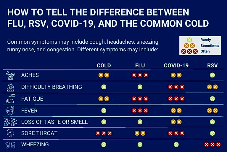 COVID cases in Florida in 2026 close to 80,000 as death count nears 500
