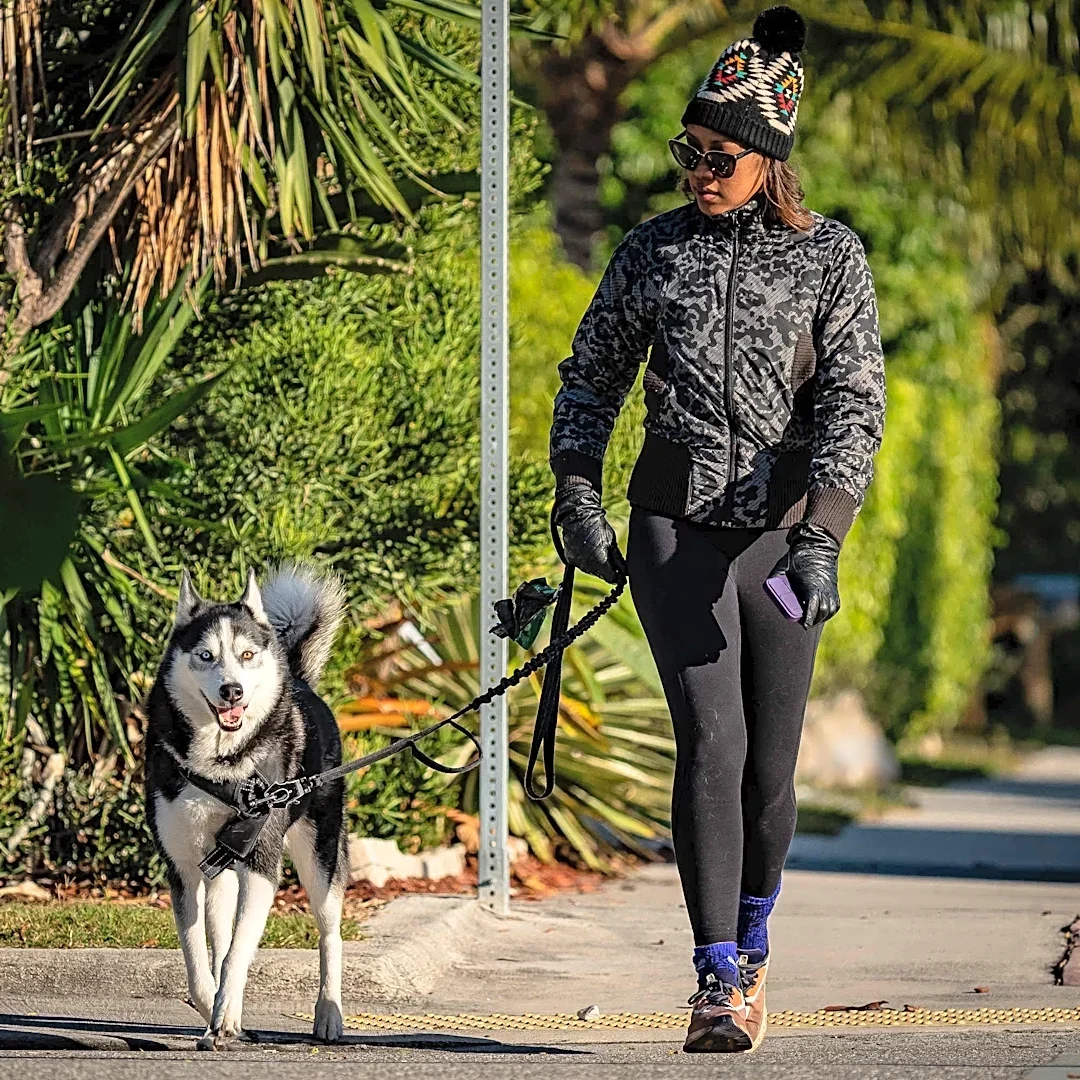 It feels like fall. Cold front brings breezy air to Palm Beach County