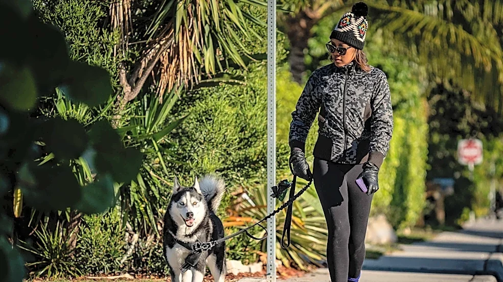 It feels like fall. Cold front brings breezy air to Palm Beach County