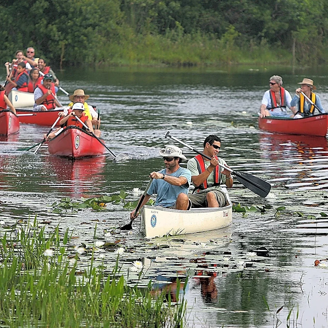 Top 5 Things to Do this weekend (Oct. 23-25) in Palm Beach County