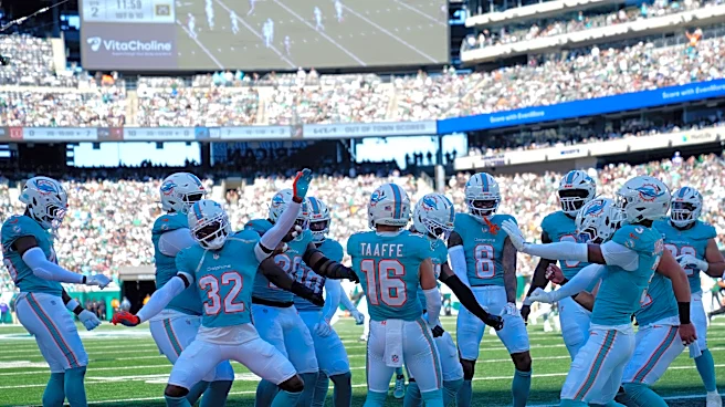 Miami Dolphins lose safety Dante Trader Jr. to shoulder injury