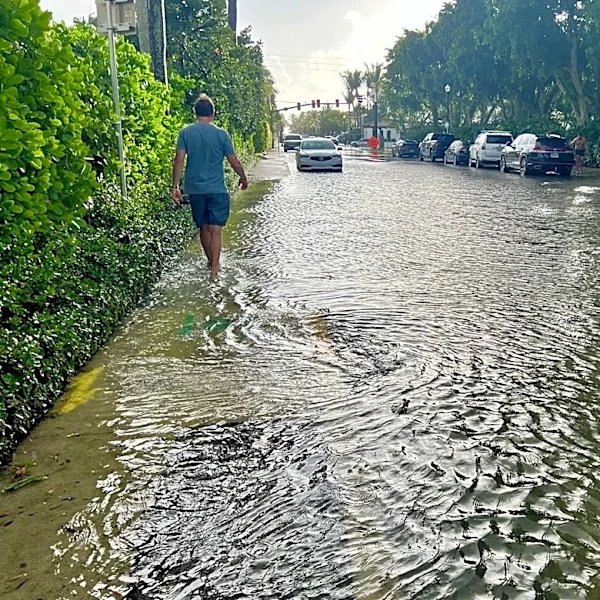 Coastal Florida streets vanish under king tide floods and it's not over