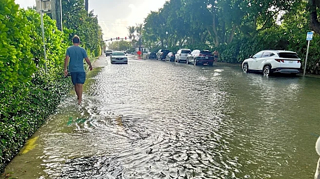 Coastal Florida streets vanish under king tide floods and it's not over