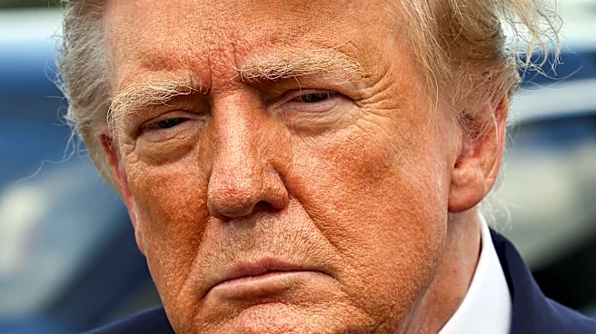Here is every Florida election Trump endorsement for 2026 midterms
