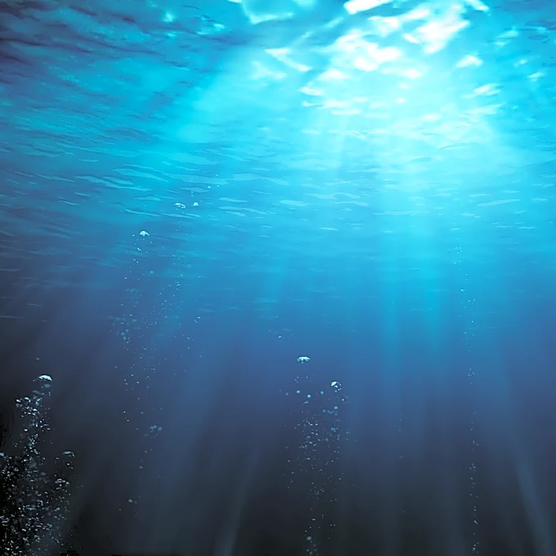 New gelatinous sea creature discovered off Southern California coast