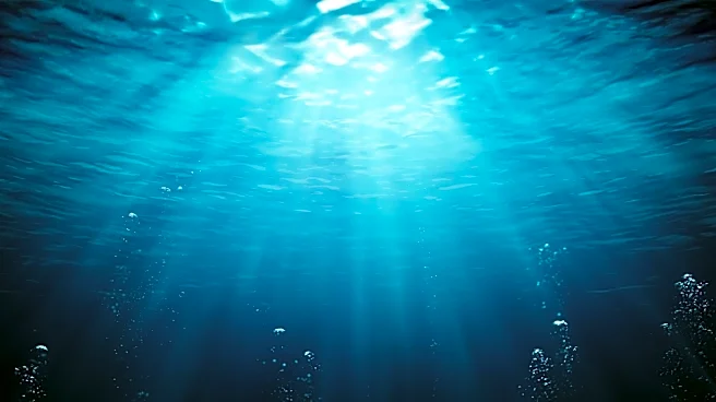 New gelatinous sea creature discovered off Southern California coast