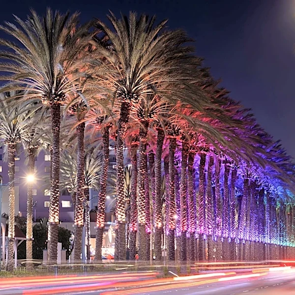 3 SoCal cities rank among top in nation for income growth, report finds