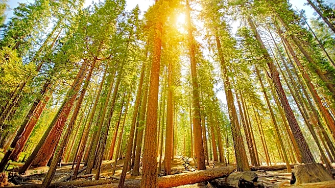 California parks expect Labor Day crowds. Here's when to go