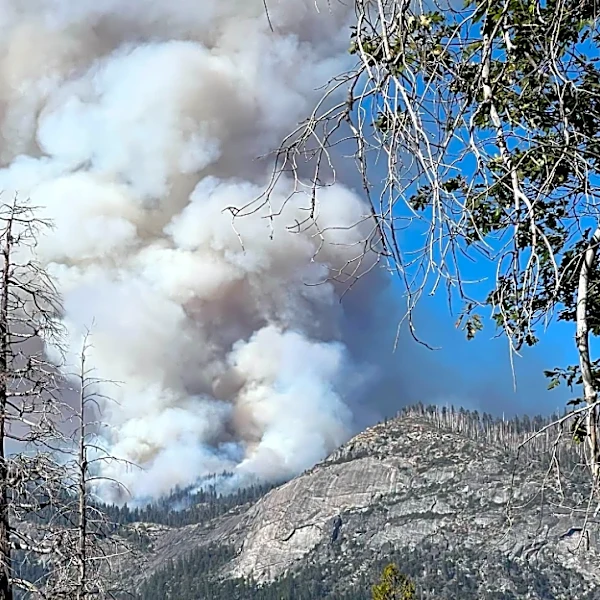 Five free wildfire apps Californians should download now