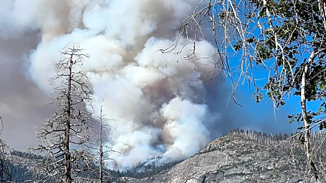 Five free wildfire apps Californians should download now