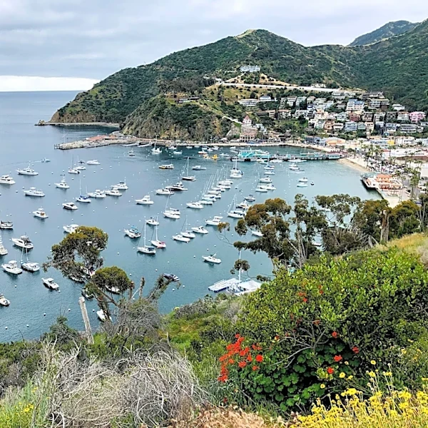 2 dead, 2 injured, 1 missing after Catalina medical helicopter crash