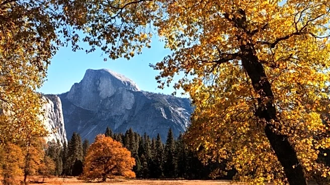 When and where to see California's best autumn leaves this season